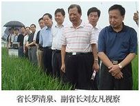 ������ʱ - �������ǲ�!