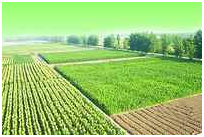 ������ʱ - �������ǲ�!