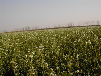 ������ʱ - �������ǲ�!