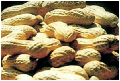 ������ʱ - �������ǲ�!