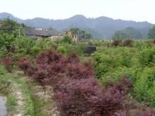 ������ʱ - �������ǲ�!