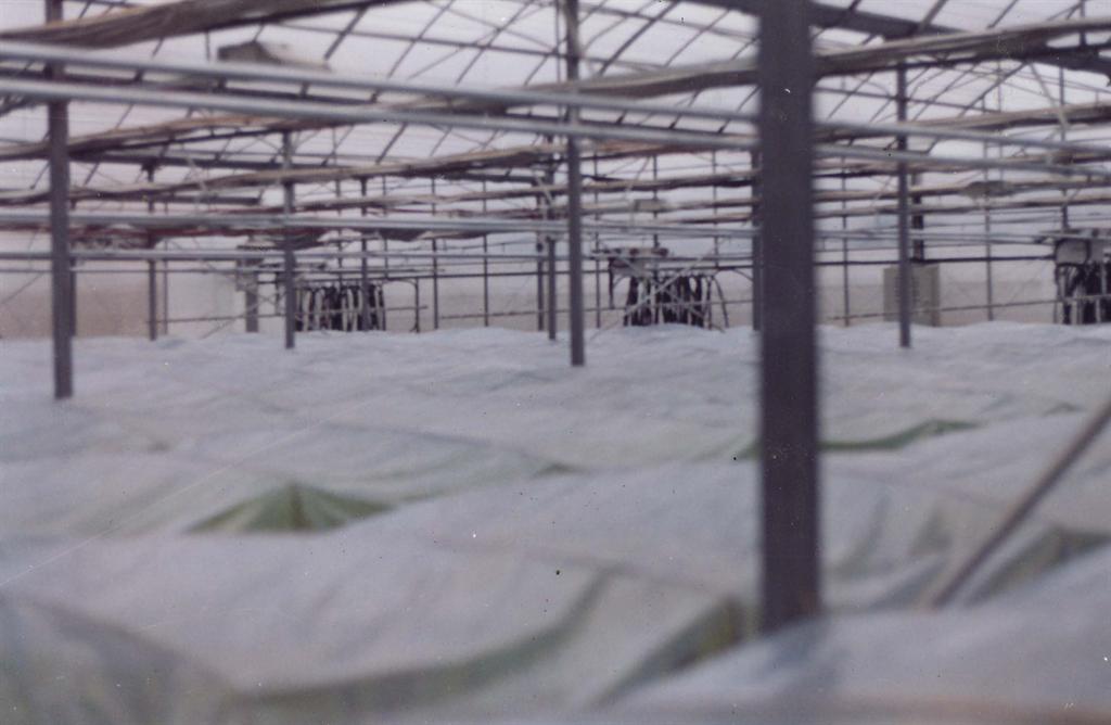 ������ʱ - �������ǲ�!