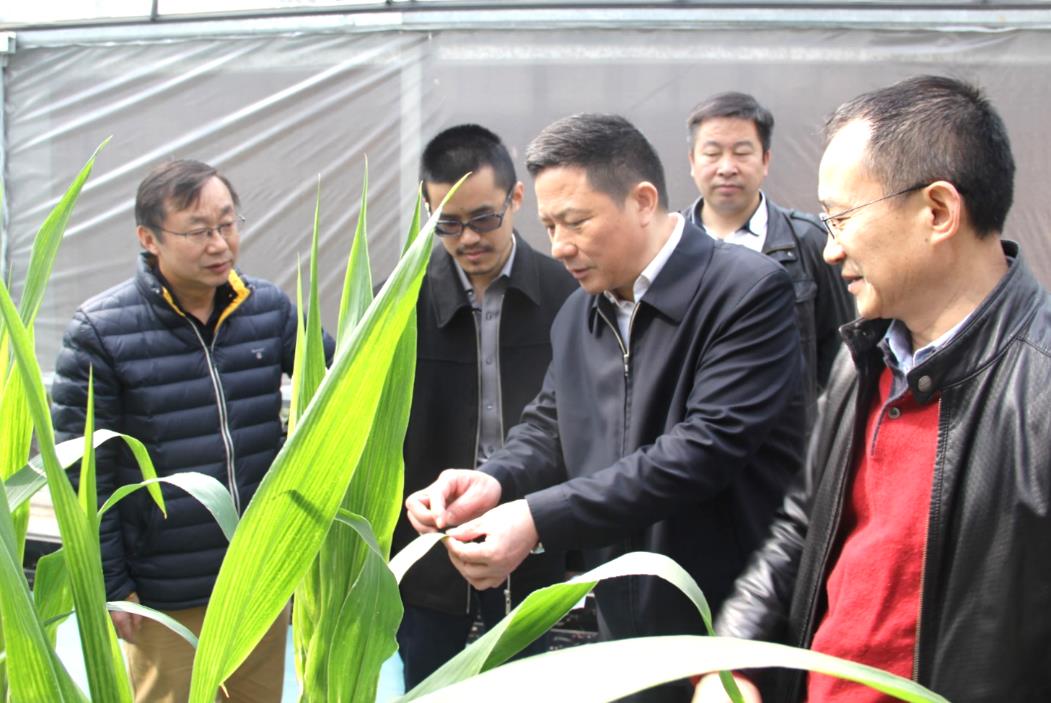 ������ʱ - �������ǲ�!